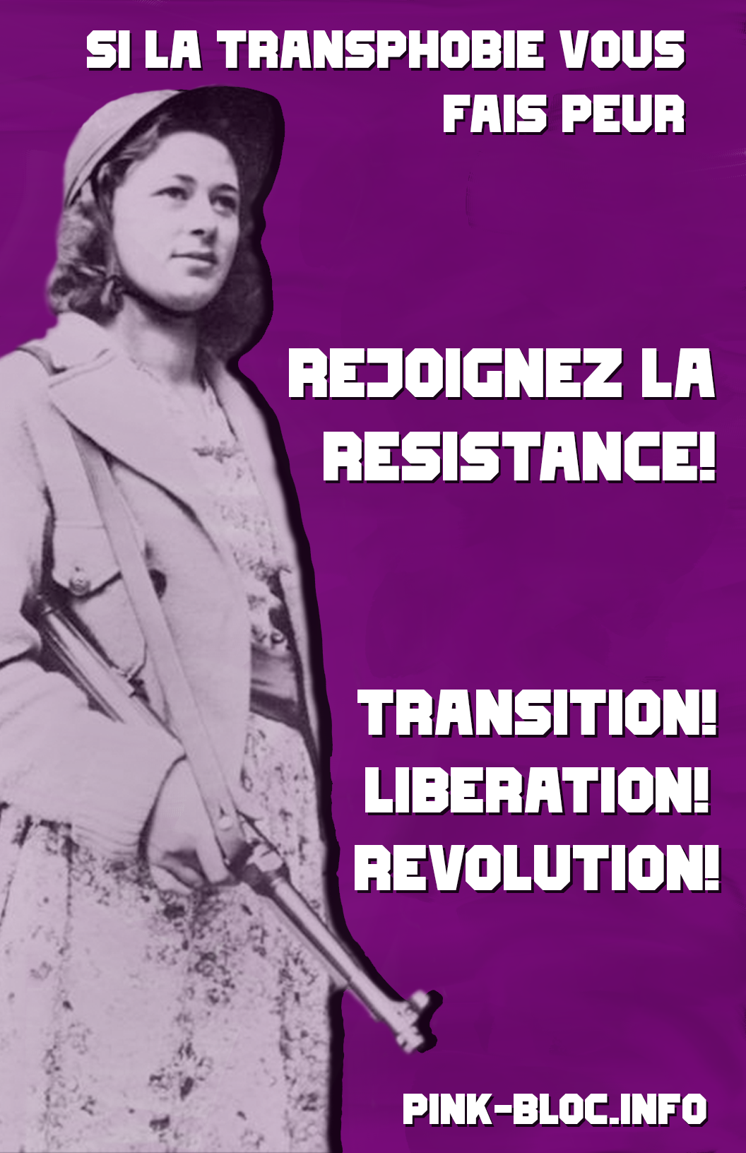 Si la transphobie vous fait peur, rejoignez la résistance! Transition, libération, révolution! pink-bloc.info