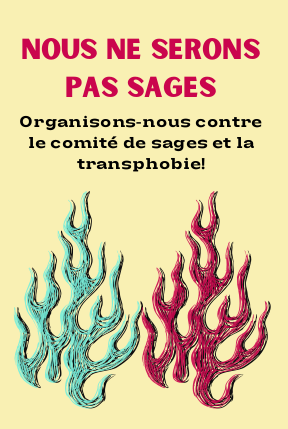 Nous ne serons pas sages, organisons-nous contre le comite de sages et la transphobie!