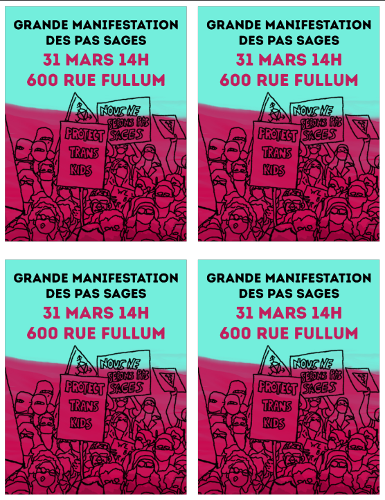 Grande manifestation des pas sages, 31 mars 14h, 600 rue fullum
